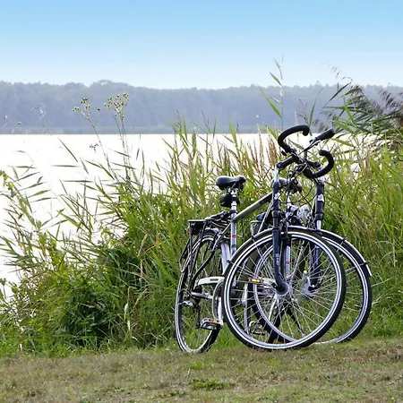 Ferienhaus Holiday Am Peenestrom - Dos081057-fyb Rankwitz